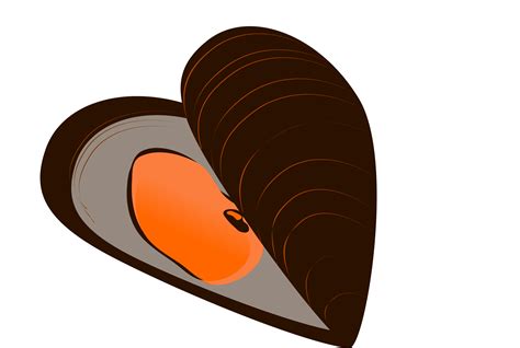 Мидии PNG