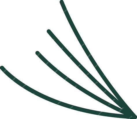 Premium Vector | Fir tree needles