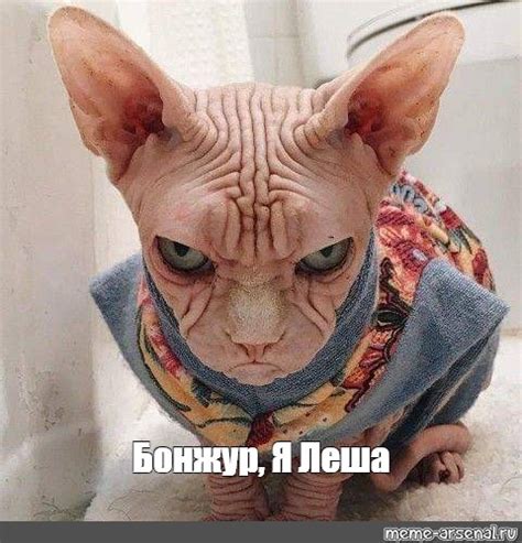 Мем: "Бонжур, Я Леша" - Все шаблоны - Meme-arsenal.com