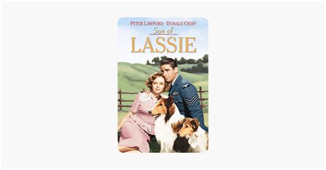 ‎Son of Lassie on iTunes