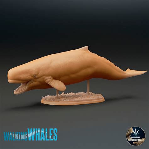 Livyatan melvillei – Dinosauria Creatures