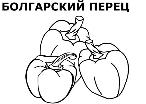 Раскраски Овощей распечатать или скачать бесплатно в формате PDF.