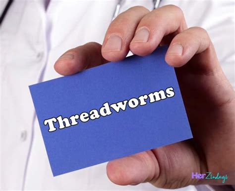 Symptoms And Home Treatment Of Threadworm | symptoms and home treatment ...