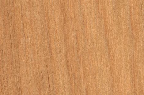 madeira freijo blog madeireira bh