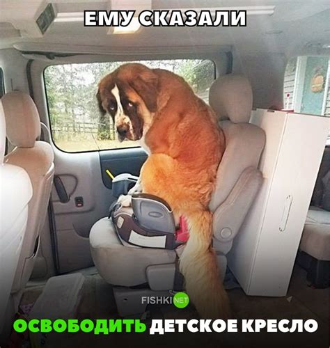 Свежая подборка автоприколов. ФОТО
