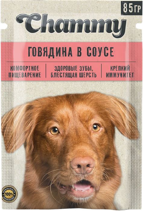 CHAMMY для взрослых собак с говядиной в соусе пауч (85 гр х 4 шт ...