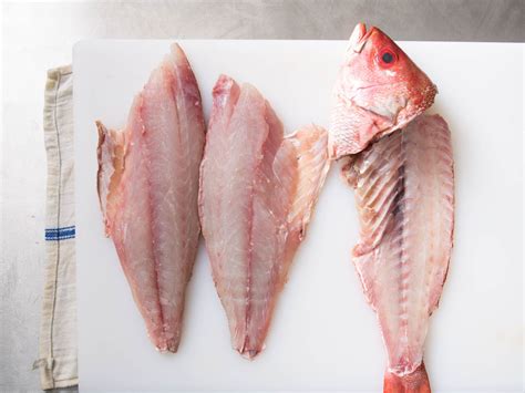 How to Fillet A Fish Tips And Tricks - Mywisecart