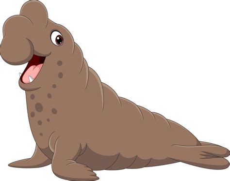 Cartoon bull elephant seal on white background 5162378 Vector Art at ...