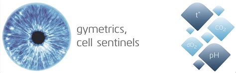 gymetrics | gymetrics