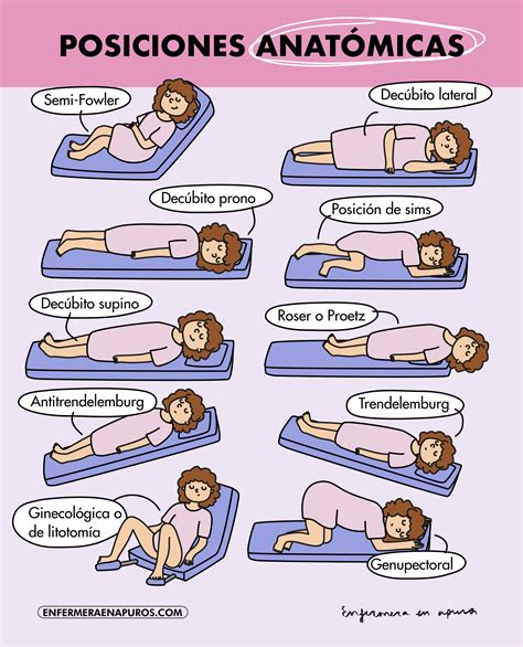 Posiciones anatómicas: Guía ilustrada – Enfermera en apuros