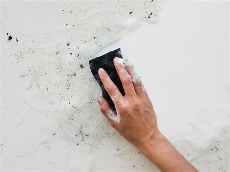 how to remove black mold from shower 12
