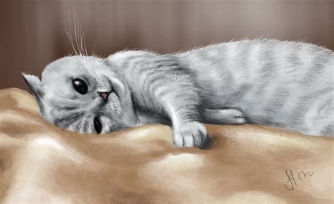 Котик в 2d