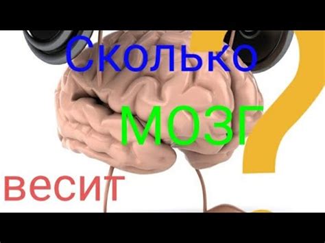 Сколько весит МОЗГ(вопрос из комментариев)?-Гугол знаний - YouTube