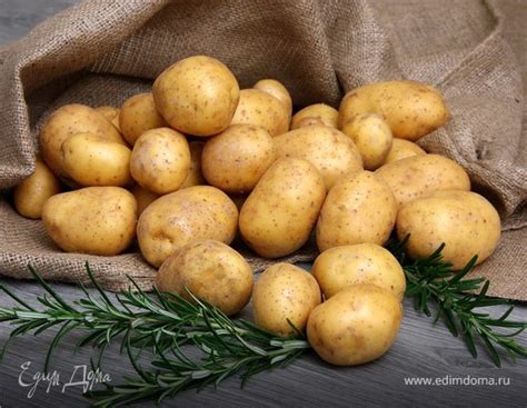 Как правильно выбрать хороший и вкусный картофель
