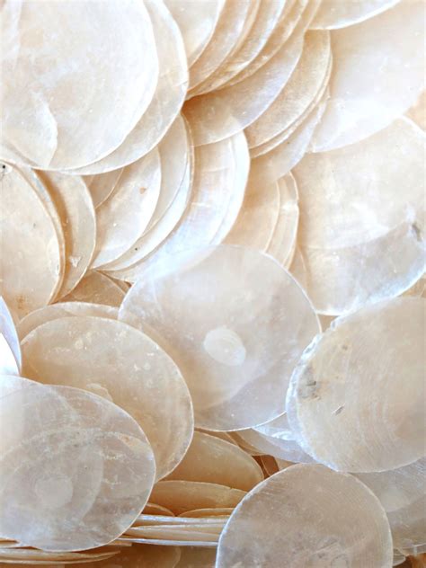 Natural capiz shell wall hanging handmade capiz shell decor etsy – Artofit