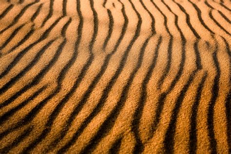 Premium Photo | Golden sand