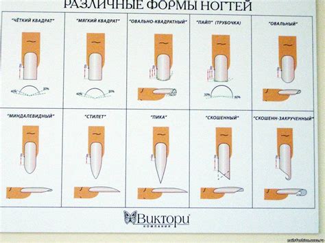 murderess: какие бывают ногти у человека