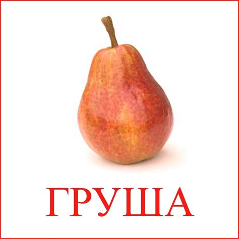 Картинки для детей груша (11 фото) 🔥 BipBap.ru