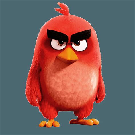 red angry bird hd wallpaper infoupdateorg