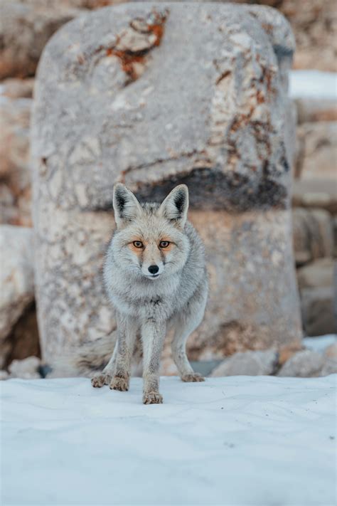 Beautiful+Women+With+Huge+Natural+Breasts Photos, Download The BEST