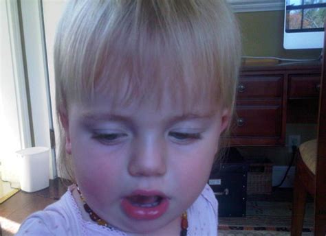 Baby's Breath - Toni Bologna