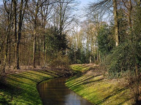 Bach Wald Wasser · Kostenloses Foto auf Pixabay