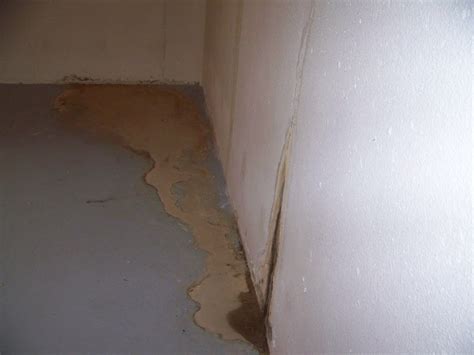 American Homes and Gardens® Basement Leaks