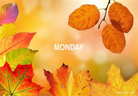 2 Arti Kata Monday - Kamus Bahasa Inggris Terjemahan Indonesia ...