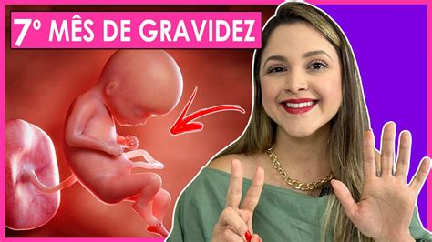 Posição Do Bebê Na Barriga Com 7 Meses - 7 MESES DE GRAVIDEZ - SEMANAS 28, 29, 30, 31 - YouTube