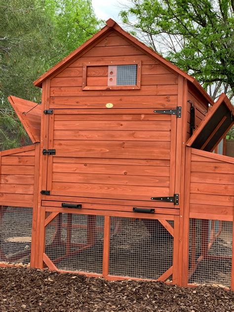 rhode island homestead chicken coop hen house   chicken coop