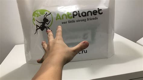 РАСПАКОВКА !!!МУРАВЬИНАЯ ФЕРМА Ant planet!! - YouTube
