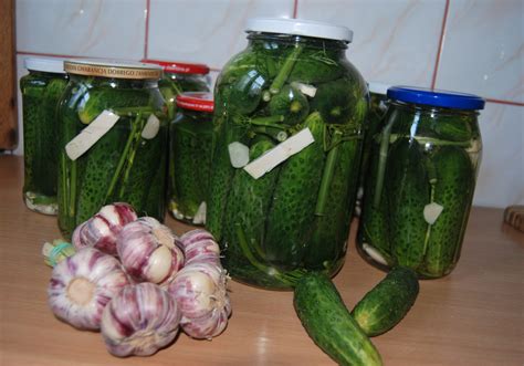 Ogórki małosolne - DoradcaSmaku.pl