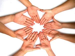 niet alleen alexander veerman