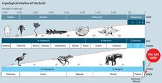 12 Neogene Period ideas | paleontology, megalodon shark, prehistoric ...
