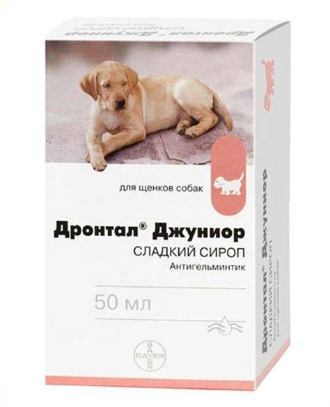 Таблетки от глистов для собак: когда и как давать средства, названия ...