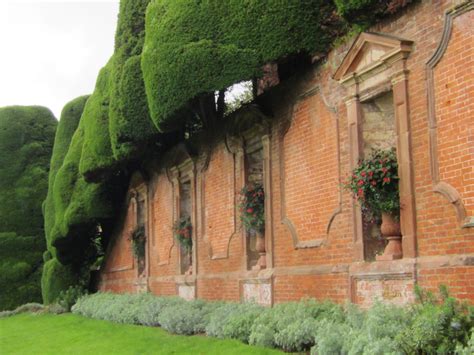 110 Yew Hedges ideas | hedges, garden, garden design