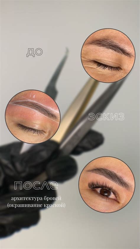 Сторис для бровиста | Больше полезного в профиле | Brows, Blush beauty ...