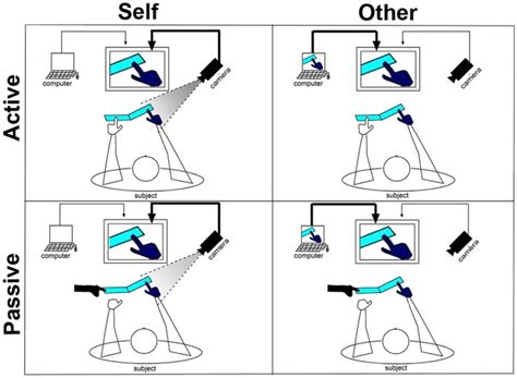 left panels view  condition    subjects