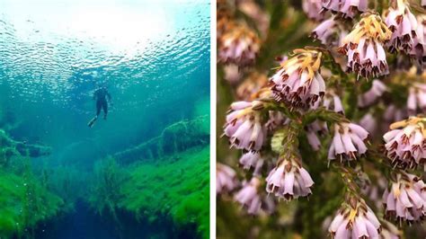 7 Ecosystems of the World That Are Facing Imminent Destruction
