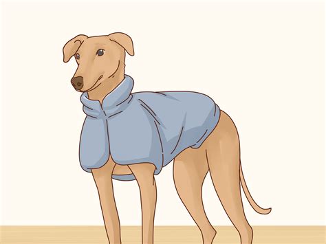 Can Dogs Keep Themselves Warm