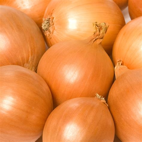 Jonika – Our onions make you smile