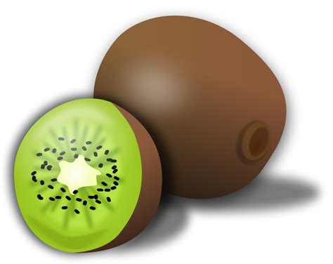 Free clip art "Kiwi" by gnokii