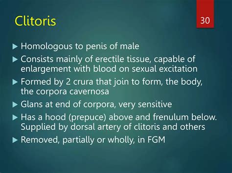 reproductive anatomyppt