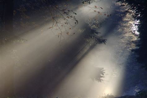 La luce e le sue caratteristiche - la Repubblica