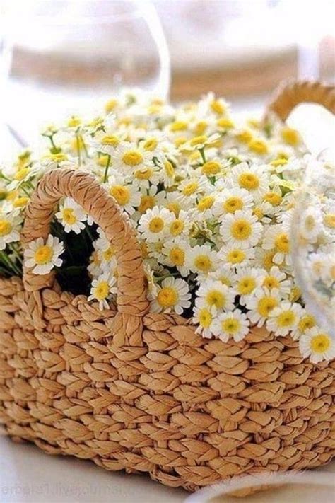 Открытки Цветы