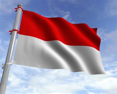 bendera negara indonesia size  cm   cm lazada indonesia