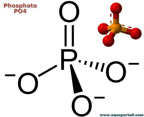 Phosphate : définition illustrée et explications