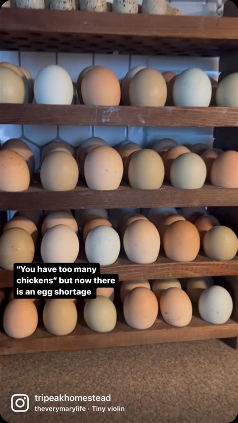 Repost because it’s almost been two years since this happened and even