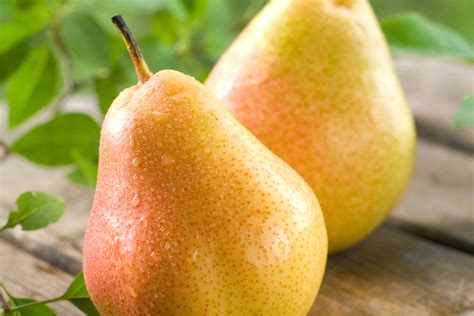 Fruta Pera Tem Acento - Conheça os diferentes tipos de pera e como usá-las em receitas doces e ...