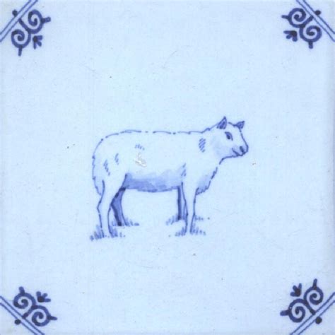 Schaap - Online shop